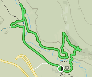 Upper Geyser Basin And Old Faithful Observation Point Loop