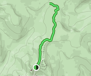 Heather Trail to Buckhorn Campground - V1 Trail Canada British Columbia Heather Trail To Buckhorn Campground At Map 100647044 1647633736 300w250h En US I 1 Style 3 