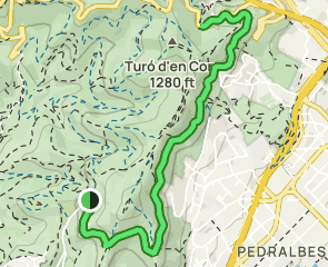 track A Vista de Pájaro