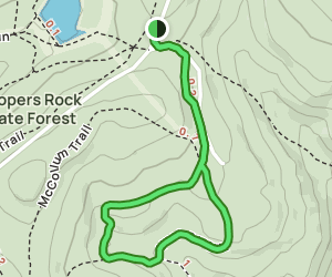 Coopers Rock Nature Trail Loop: 11 Reviews, Map - West Virginia AllTrails