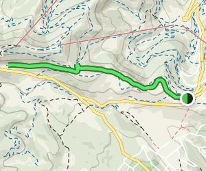 Empire Pass to Bloods Lake Trailhead: 86 Reviews, Map - Utah | AllTrails