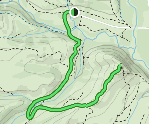 Cheese Rock Trail: 188 Reviews, Map - Washington | AllTrails