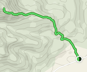 Gruta Virgen de Guadalupe de Aguaray | Map, Guide - Salta, Argentina