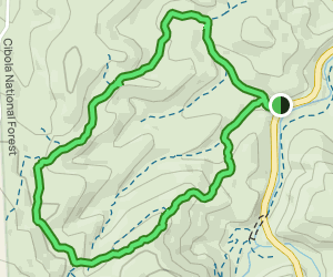 Tijeras Loop: 41 Reviews, Map - New Mexico | AllTrails