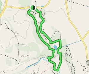 Hedley Hall Wood to Beamish Burn Circular: 15 Reviews, Map - Tyne and ...