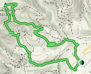 track Aranaz - Pico Idola - Pico Ibina - Pico Goiko Ibina