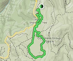 Circle Meadow Loop via Congress and General Sherman Tree Trail: 273 ...