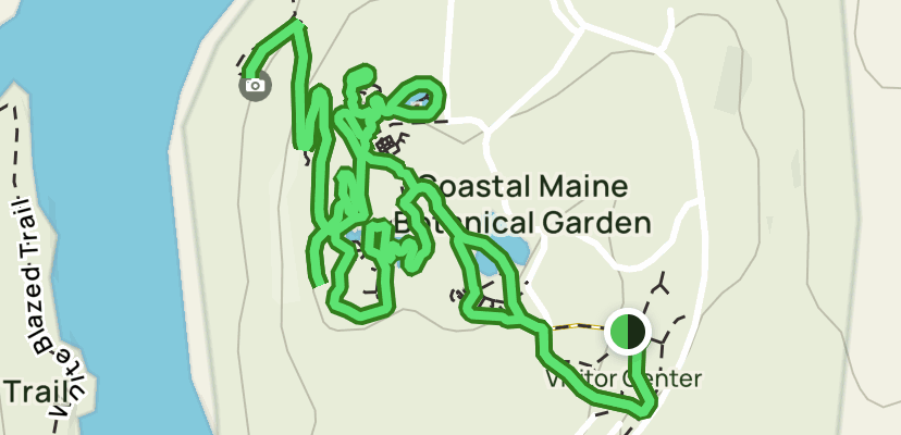 Gibraltar Botanic Gardens Map Fasci Garden gibraltar-botanic-gardens-map-fasci-garden