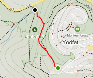 Yodfat Monkey Forest West Trail - V1 Trail Israel Northern District Hazafon Yodfat Monkey Forest West Trail At Map 127173637 1658244914 300w250h En US I 1 Style 1