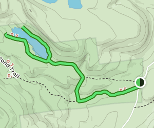 Inman Pond Trail: 220 Reviews, Map - New York | AllTrails