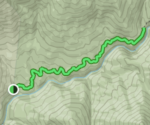 Middle Fork Kaweah Falls via Middle Fork Kaweah Trail: 184 Reviews, Map ...