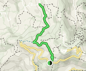 Monte Calvarina - Potacci: 1 Reviews, Map - Veneto, Italy | AllTrails