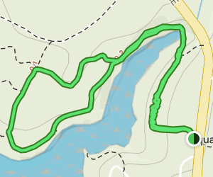 AllTrails | Ellis Cove Trail: 1131 Reviews, Map - Washington