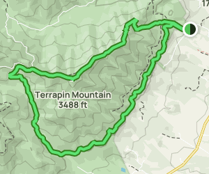 Terrapin Mountain Trail: 288 Reviews, Map - Virginia | AllTrails