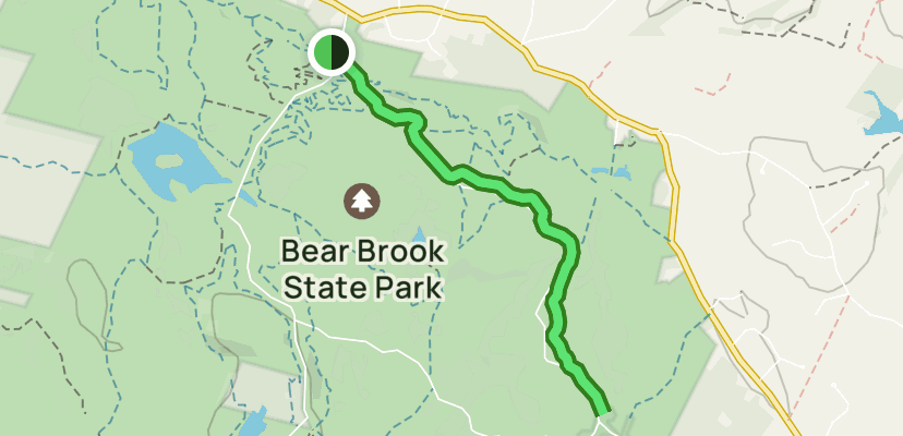 Are Dogs Allowed At Bear Brook State Park