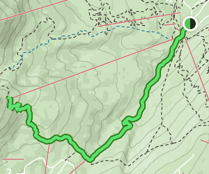 Moose Tracks Snowshoe Trail: 243 Reviews, Map - Montana | AllTrails