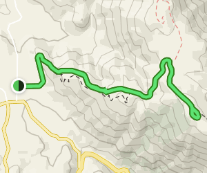 Volcan Mountain Trail: 3419 Reviews, Map - California | AllTrails