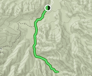 Porters Creek Trail: 1303 Reviews, Map - Tennessee | AllTrails