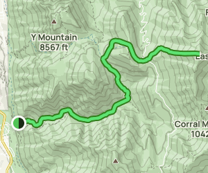 Provo Peak from Slate Canyon: 44 Reviews, Map - Utah | AllTrails