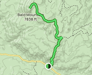 Bald Mountain Trail, California - 307 Reviews, Map | AllTrails