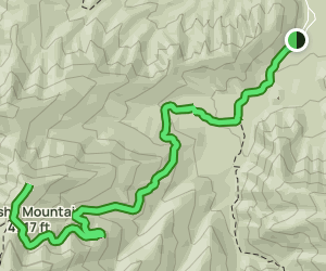 Brushy Mountain Trail: 128 Reviews, Map - Tennessee | AllTrails