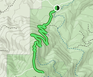 North Ridge Trail to Marys Peak: 319 Reviews, Map - Oregon | AllTrails