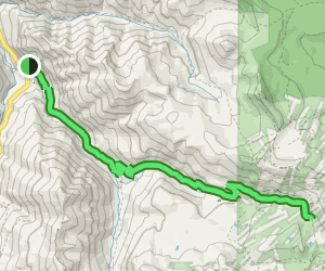 Mineral Creek OHV Trail: 81 Reviews, Map - Colorado | AllTrails