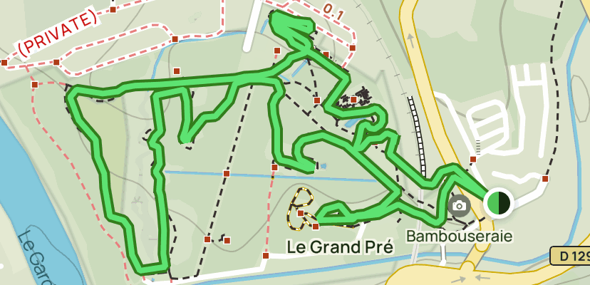 The Bamboo Grove of Anduse: 7 Reviews, Map - Gard, France | AllTrails