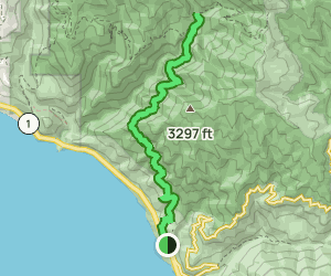 Kirk Creek Campground to Vicente Flat Trail: 550 Reviews, Map ...