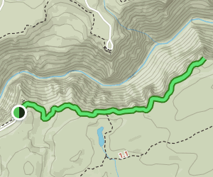 Artist point trail to point sublime Clearance