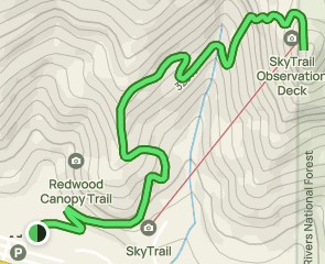 Trees Of Mystery Trail , California - 124 Reviews, Map 