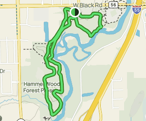 Hammel Woods Trail: 727 Reviews, Map - Illinois | AllTrails