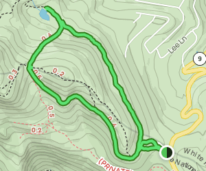 AllTrails | North Star Mountain Trails: 405 Reviews, Map - Colorado