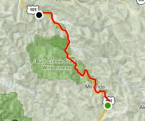 Avenue of the Giants Scenic Drive - California | AllTrails
