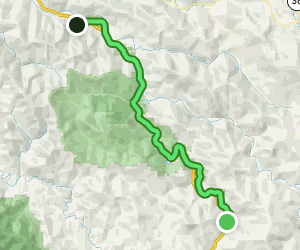 Avenue of the Giants Scenic Drive: 159 Reviews, Map - California ...