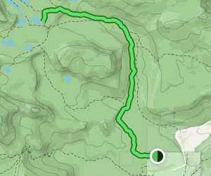 Cottonwood Lake #1 Trail: 640 Reviews, Map - California | AllTrails