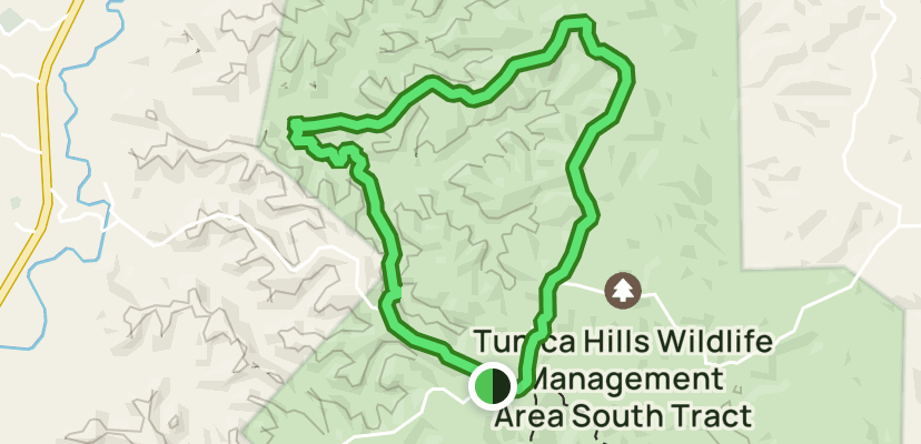 are dogs allowed in tunica hills