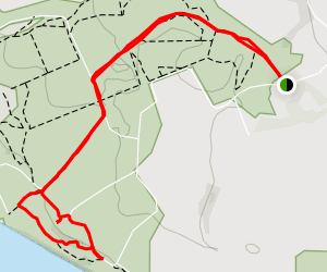 Waiuku Forest Beach Walk Auckland, New Zealand AllTrails