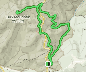 Jarman To Turk's Mountain Loop - Virginia | AllTrails