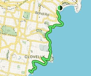 Bondi Beach to Coogee Beach Walk: 1393 Reviews, Map - New South Wales ...