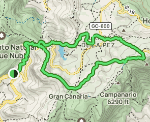 track Ayacata - Pico de las Nieves