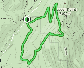 Verdi Peak OHV Route, Nevada - 11 Reviews, Map | AllTrails