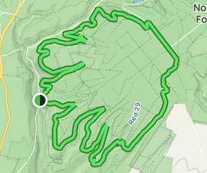 dalby forest red route map