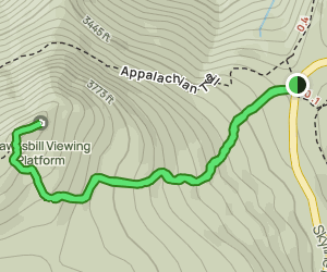 Hawksbill Summit Trail: 2083 Reviews, Map - Virginia | AllTrails