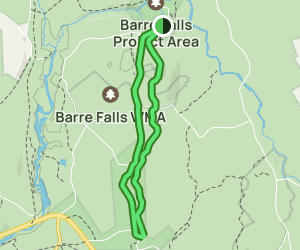 Barre Falls Dam Trail: 96 Reviews, Map - Massachusetts | AllTrails