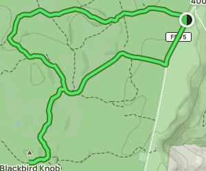 Northern Dolly Sods Map Guide - V1 Trail Us West Virginia Northern Dolly Sods At Map 154882463 1675178402 300w250h En US I 1 Style 3
