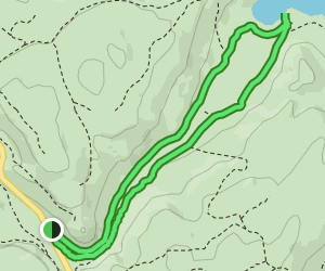 Sagehen Creek Loop: 764 Reviews, Map - California | AllTrails