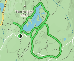 AllTrails | Tarn Hows Circular Walk: 107 Reviews, Map - Cumbria, England