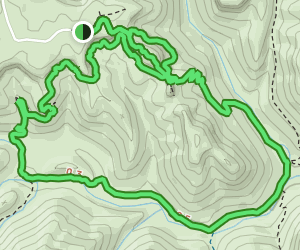 Twin Arches Loop Trail: 717 Reviews, Map - Tennessee | AllTrails