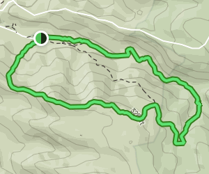 Goomburra Section Cascade Circuit and Ridge Trail: 63 Reviews, Map ...